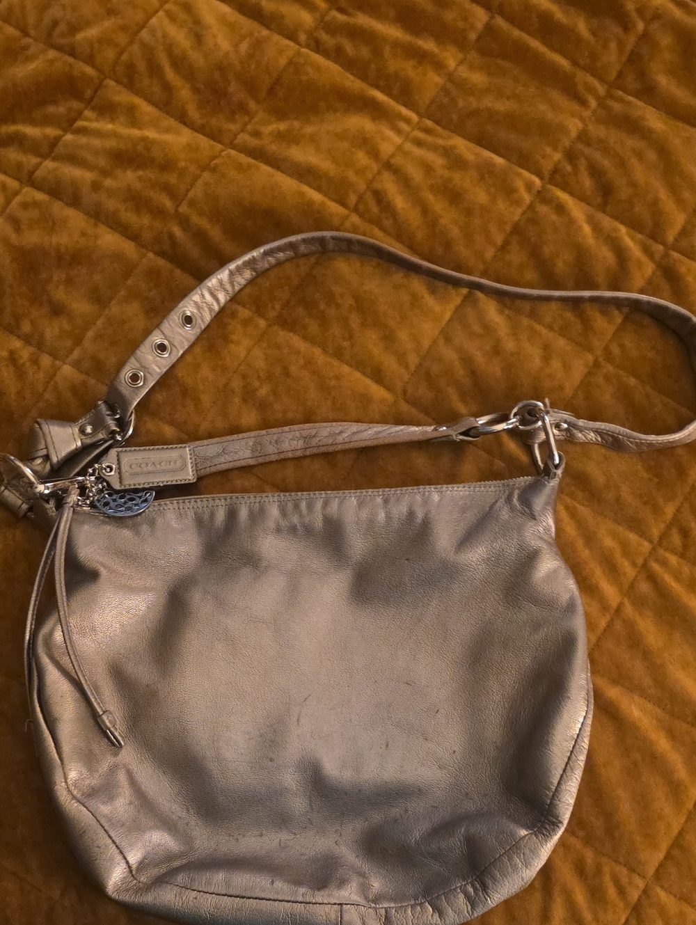 Coach Convertible Double Strap Slouchy Hobo Leather Bag Metallic Bronze F13708